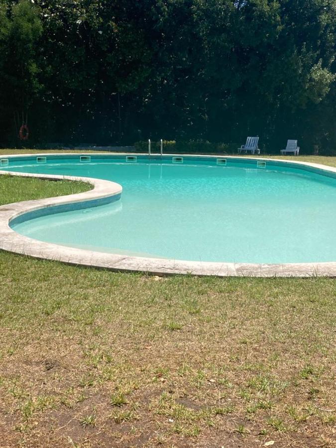 קוימברה Palacio Da Quinta Da Portela IV מראה חיצוני תמונה